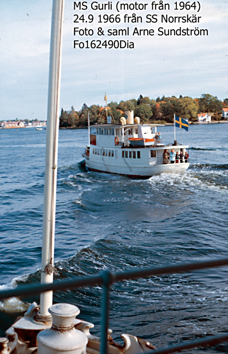 SS GURLI
