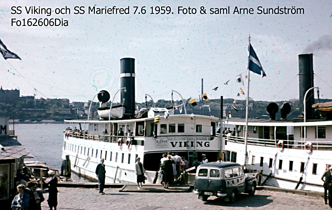 SS VIKING o SS MARIEFRED