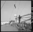 Underhållsarbeten ombord m/s Golden Ocean 1952
Riggen lappsalvas och lastbommarna målas.