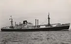 Det franska kombinerande passagerar- och lastmotorfartyget CHILI av Le Havre. Provturen 1950.