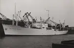 Lastmotorfartyget ATLANTIC OCEAN av Göteborg. Hon sjösattes i maj 1942. Levererad till Oceankompaniet i juli 1947 samt satt i fart i aug. 1947.
Fotot visar henne liggande i Malmö hamn med apelsinlast från Haifa den 7.12.1949.