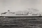 Turbintankfartyget GEFION av Oslo på provturen i dec. 1957.