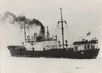 Lastångfartyget MARIA av Lovisa i Öresundsisen 1963.