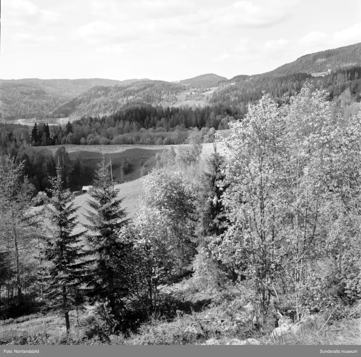 Vackra vyer över Indalsälven , troligen i trakterna kring Liden och Järkvissle.