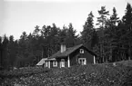 Ett litet bostadshus med uthus ligger vid skogskanten, i förgrunden ett fält med blommande potatis.