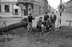 Parkarbetare fällde träden vid Kungsgatan i Jönköping.