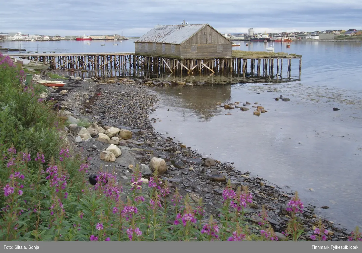 Bildet av kai. Fotografert mot øst ved fjæra, i bakgrunn er Hermetikken, brua til Vadsøya, Sildoljefabrikken, båter og luftskipmasten. Bildet er tatt 20.8.2005