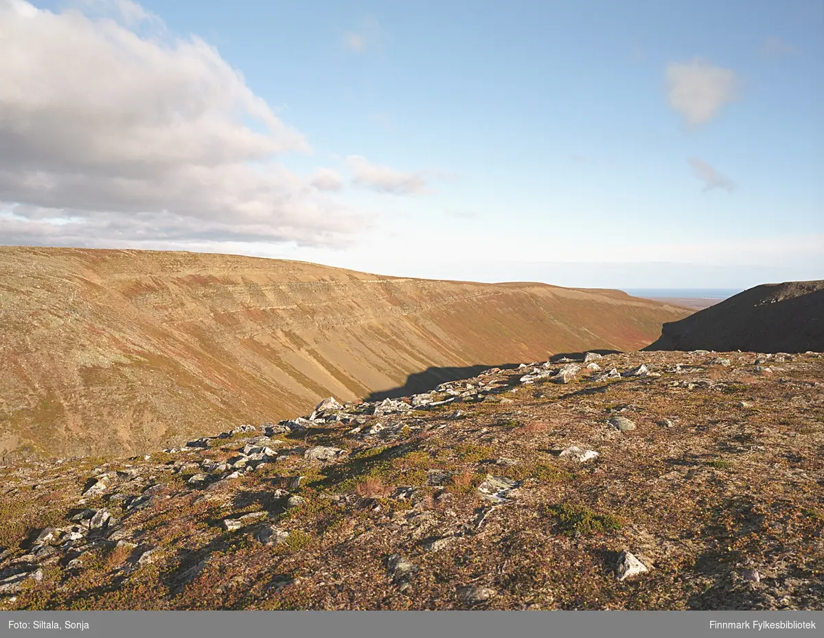 Nattfjelldalen