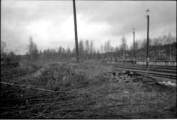 Fornlämning nr. 43. Värnshögen 3:1  Steneby