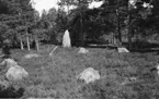 Domarring invid gravhögarna. Stenen i bakgrunden är en bautasten. Hol