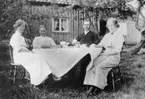 Fyra personer sitter vid ett kaffebord i trädgården.  Lena.