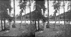 Trollhättan