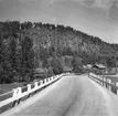 Halleberg. Häckle ättestupa, 29 Maj 1946.