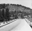 Halleberg. Häckle ättestupa, 29 Maj 1946.