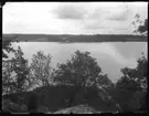 Ångssågen i Vadbacken, Öresjö. Ramsåg och dubbelt kantverk. Det hela drevs med en 42 hk lokomobil. Sågverket fanns här mellan åren 1918-1941.