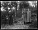 Okänd, okänd, Hilda Johansson, Hjärtum 1900-04-27, i skogen i Brevik.