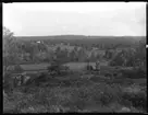 Vy med den gamla och nya ladugården på Arnstorp i bakgrunden. I förgrunden står Sven, Hjärtum 1915-05-14, Nils,Hjärtum 1918-01-09, Erik, Hjärtum 1919-07-26, Olga, född Olsson, Forshälla 1891-05-12.