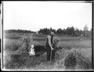 Sven Jonsson, Hjärtum 1915-05-14, Olof Jonsson, Hjärtum 1882-11-15. Olof slår med lie och sätter upp neker