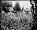 Ladugården med utedass och gödselstack på Brevik 1:5. Havrenekerna har hämtas hem från åkern och intill dem sitter Nils, Hjärtum 1918-01-09, Erik, Hjärtum 1919-07-26, Sven, Hjärtum 1915-05-14, Olga, född Olsson, Forshälla 1891-05-12.