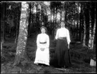 Ängen under Stenshult. Anna Edvardsson och Olga Jonsson (födda Johansson)