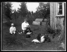 Valdemar, hunden Sonja, Olga, född Olsson, Forshälla 1891-05-12 med sonen Sven, Hjärtum 1915-05-14, sitter i gräset och tittar på hönsen.