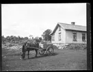 Häst och kärra på Torpet (Arnstorp) med boningshuset i bakgrunden