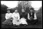 Gerda Johansson, Hjärtum 1893-10-15, Anna Johansson, Hjärtum 1891-01-05, Jeanna Jonsson, Hjärtum 1874-04-03, Abraham Jonsson, Hjärtum 1875-01-13, sitter i trädgården på Torpet (Arnstorp) med kattunge och hundvalp i knät. Jeanna är ensam fruntimmer på gården efter det att hennes mamma och syster dött året innan 1907, och nu har fadern Jon Svensson också dött i april 1908 (kortet är taget i maj 1908).