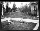 Sven, Hjärtum 1915-05-14, som sitter i en hemmagjord barnhage med höna och kycklingar framför boningshuset.