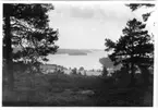 Fröskog. Utsikt över sjön Ärran