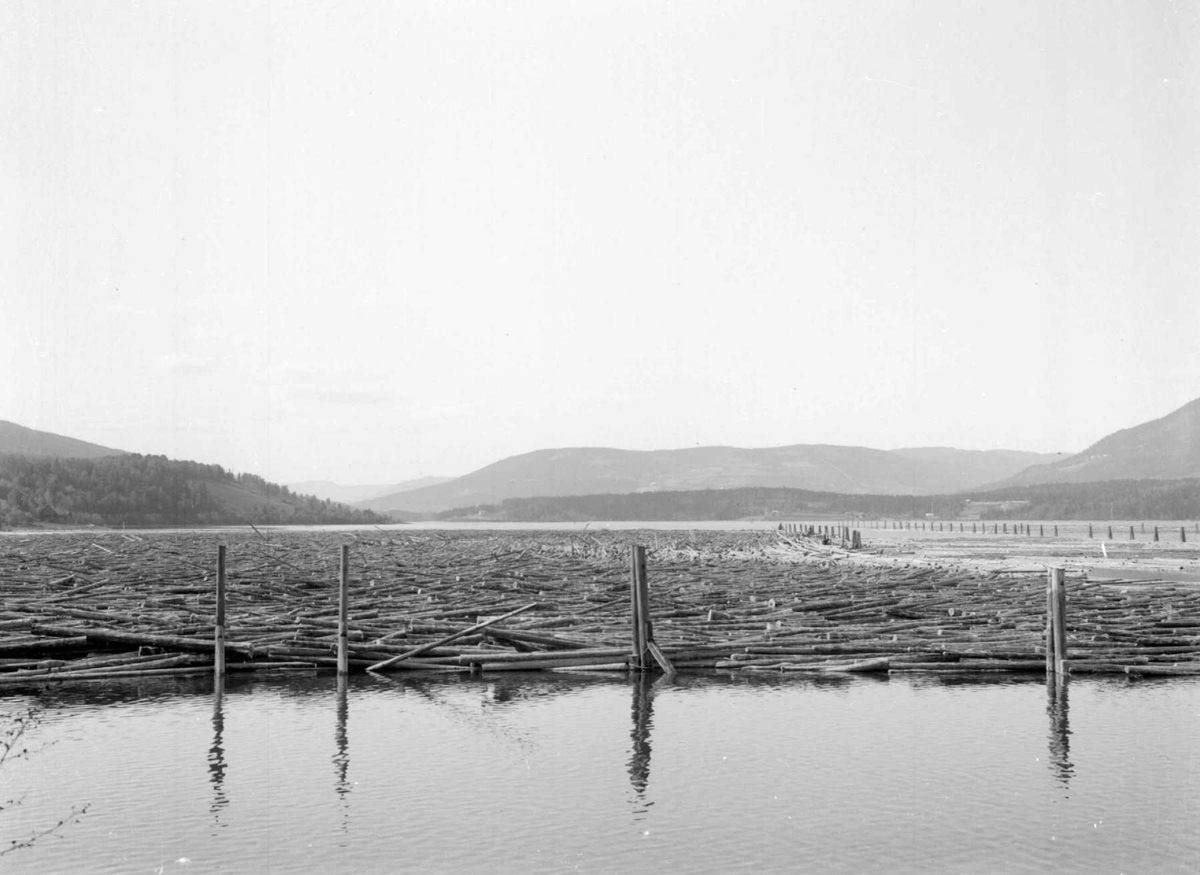 Tømmer. Ved Lillehammer tømmerlense. Lågendeltaet.