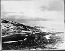 Fjällrip-tupp