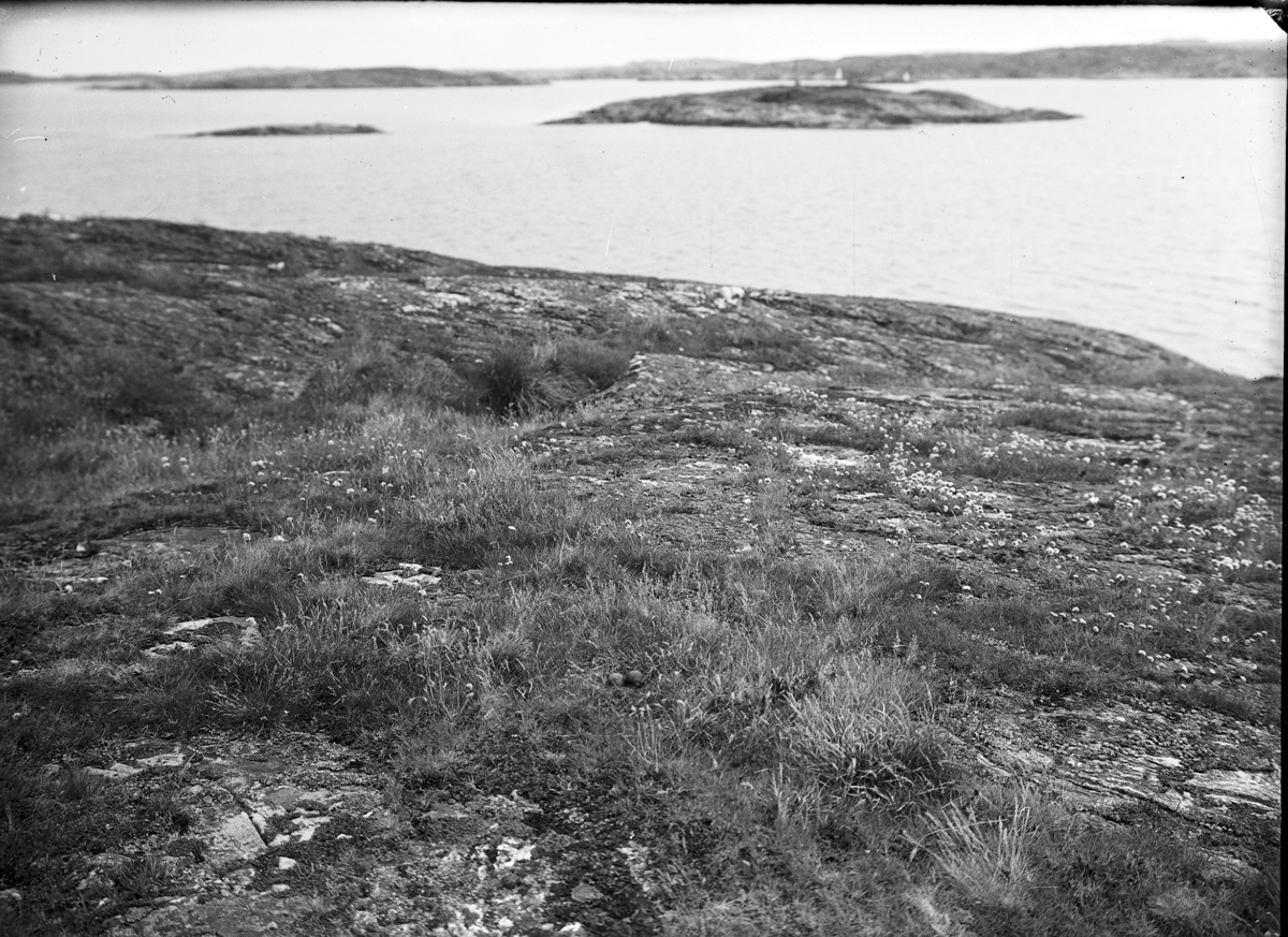 (Kustlandskap)