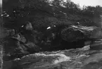 Boplats för strömstare (Cinclus aquaticus) boet under snöfläcken i mitten av bilden. 18 juni 1911.