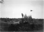 Ormvråk, Buteo b. buteo, ormvråk mot uven, 10 september 1911