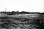 Biotop för Podiceps minor, smådopping  Skåne maj 1917