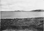 Biotop för skärsnäppa, Tringa maritima, Utsigt mot norr över Norra Bunnersjön, Jemtland 27/ 1937