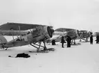 Flygplan B 4 med skidor på linje, vintertid. Personer kring flygplanen.