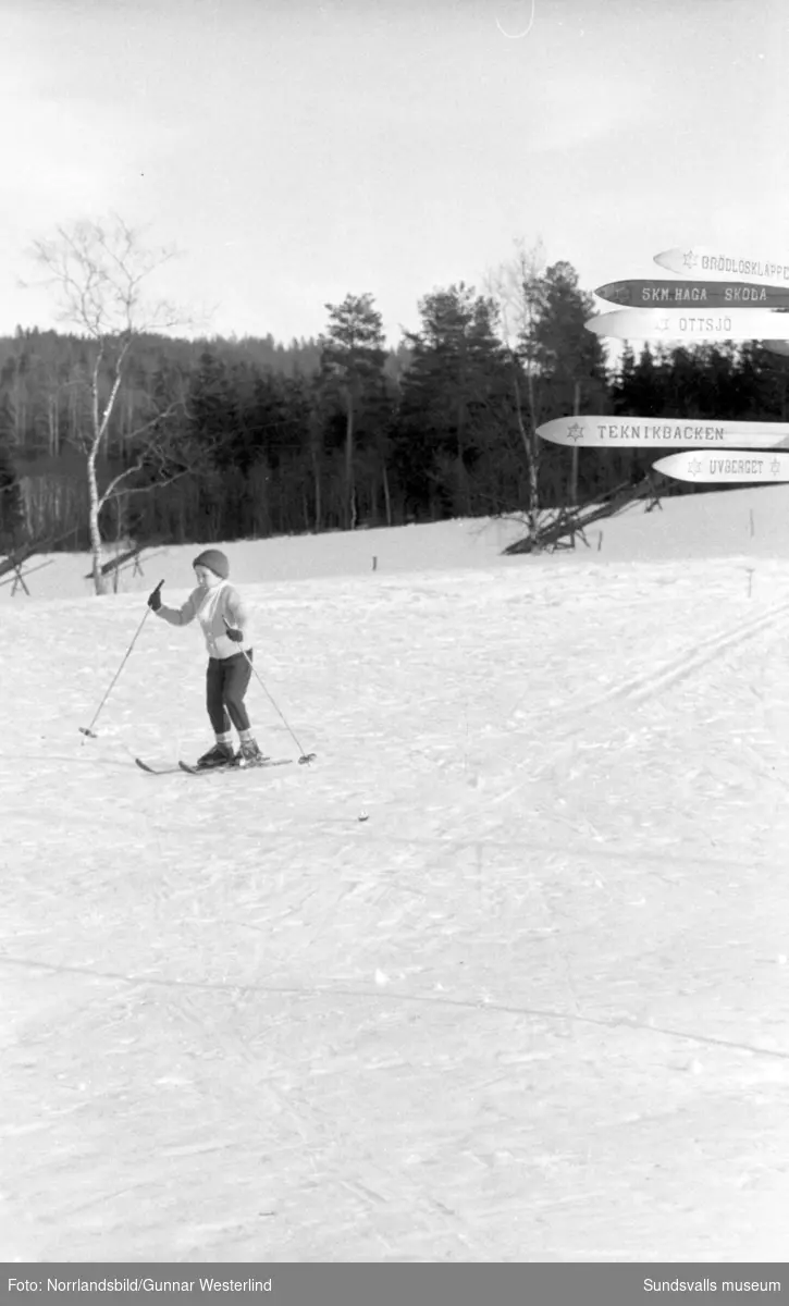 Vinterbilder från Sundsvallstrakten till ett reportage om hur man firar fettistagen. Skidåkning, friluftsliv och semlor.