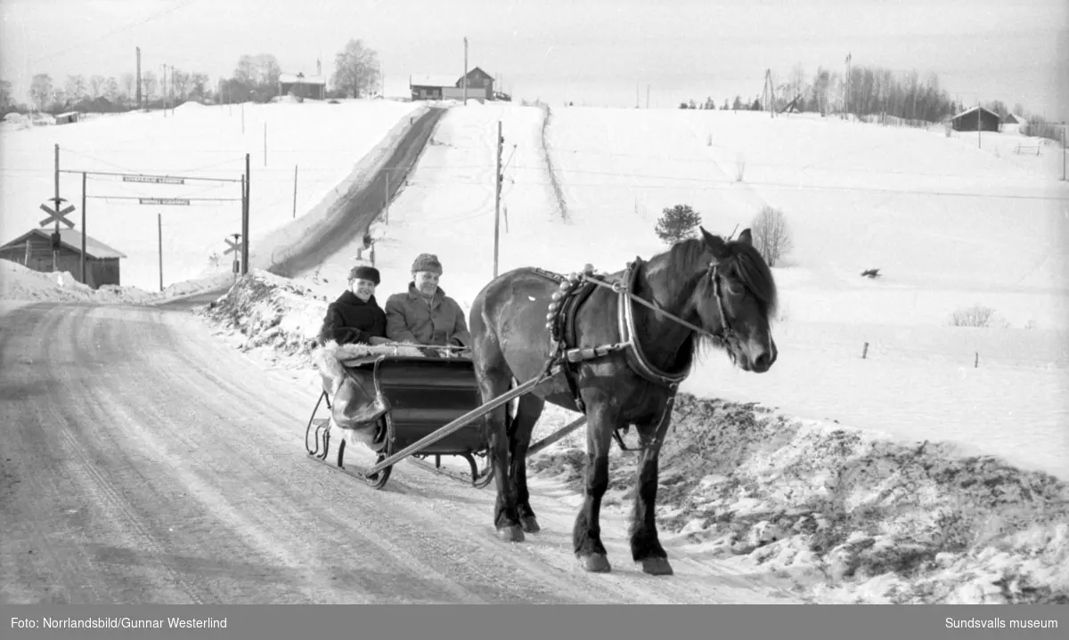 Vinterbilder från Sundsvallstrakten till ett reportage om hur man firar fettistagen. Skidåkning, friluftsliv och semlor.