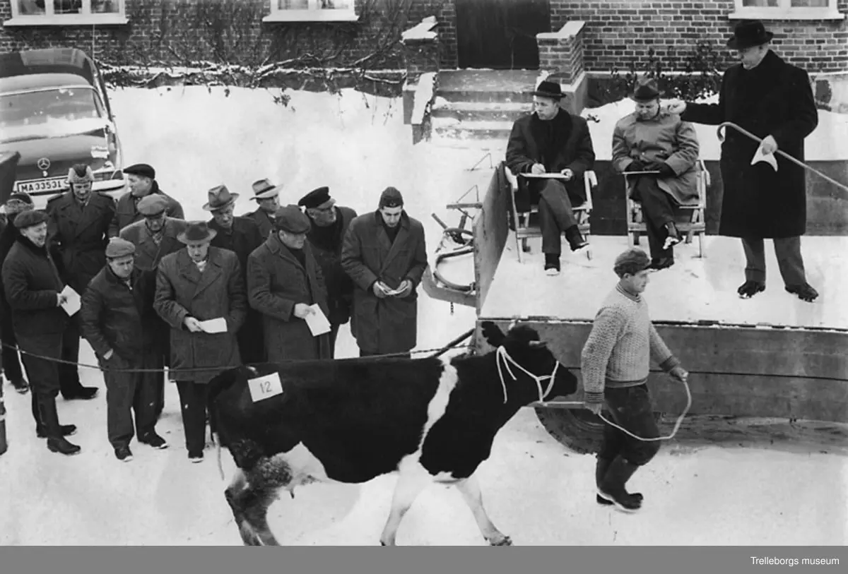 Auktionsförrättare Erik Grönvall på auktion efter Otto Perssons dödsbo i Erlandsdal Svedala 6/2 1963.