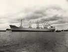 M/S FERNWOOD. Foto från Köpenhamn den 26.4.1957.