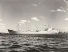 M/S FERNWOOD. Foto från Köpenhamn den 26.4.1957.