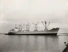 M/S FERNWOOD. Foto från Köpenhamn den 26.4.1957.