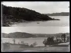 Motiv ur Oscar Färdigs bildsamling
