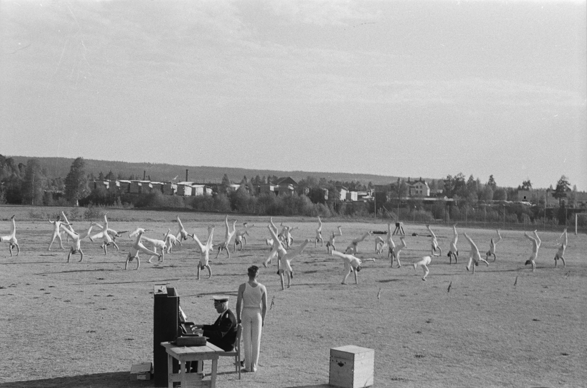Turnstevne, Elverum.
 Restvoldjordet.