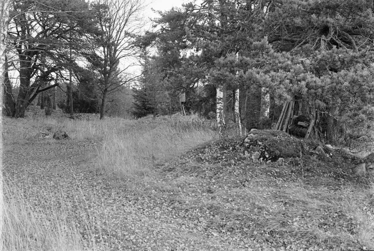 Linbastu, Skogstibble S:1, Skrikbacken, Skogs-Tibble socken, Uppland 1985