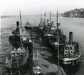 Gamla ångbogserbåtar vid Slussen, Stockholm, mars 1957.