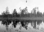 Fiskgjuse, Pandion haliaetus               Särna ., Dalarna                            Foto E. Geete