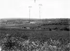 Häckningsterräng för Gräshoppssångare (Locustella naevia) 25Juni 1922