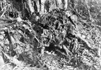 Bo av Snatterand (Anas stepera) 27 Maj 1941.
